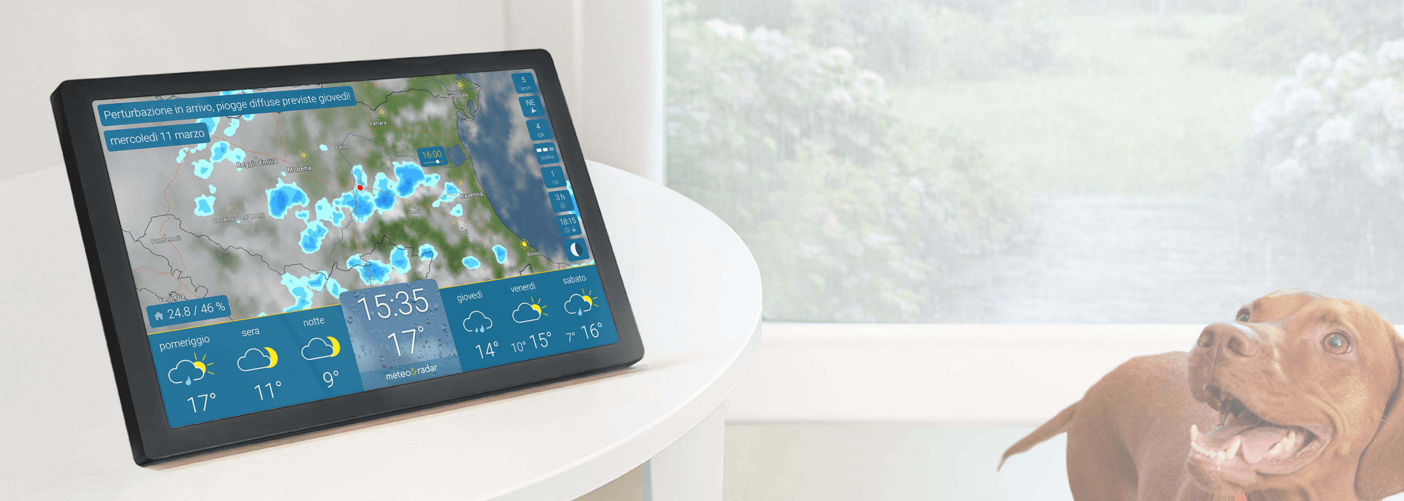 meteo & radar home 4 Il display meteo mostra il radar delle precipitazioni in caso di pioggia, vista dalla finestra con un cane
